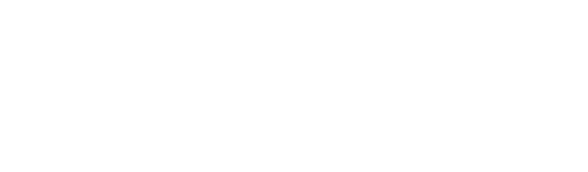 skillsindex logo